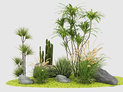 Courtyard Garden Featuring Various Plants Palm Trees Cactus Grasses And Rocks On Green Lawn 3d model
