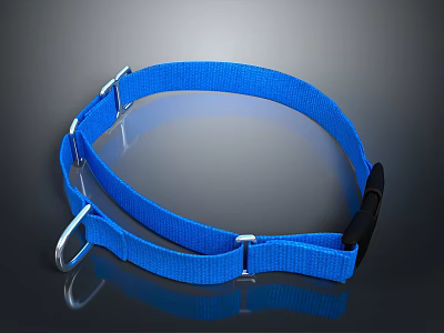 Blue Adjustable Webbing Strap With Metal Buckle And Black Handle For Daily Use 3d model
