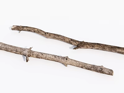 Natural Dry Wooden Branches With Rough Texture For Home Decoration Projects 3d model