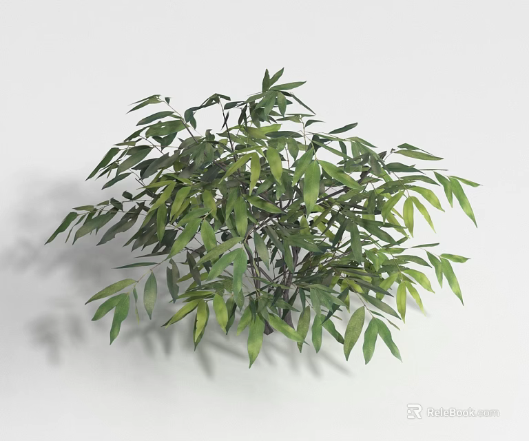 Lush Green Shrub With Dense Foliage And Vibrant Leaves In Natural Growth 3d model 