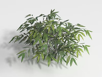 Lush Green Shrub With Dense Foliage And Vibrant Leaves In Natural Growth 3d model