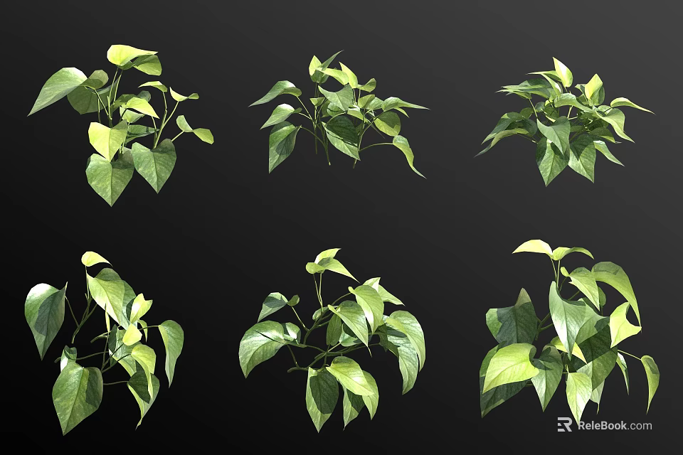 Green Plants in Various Forms Showcasing Yellow Green Gradient Leaves on Black Background 3d model 