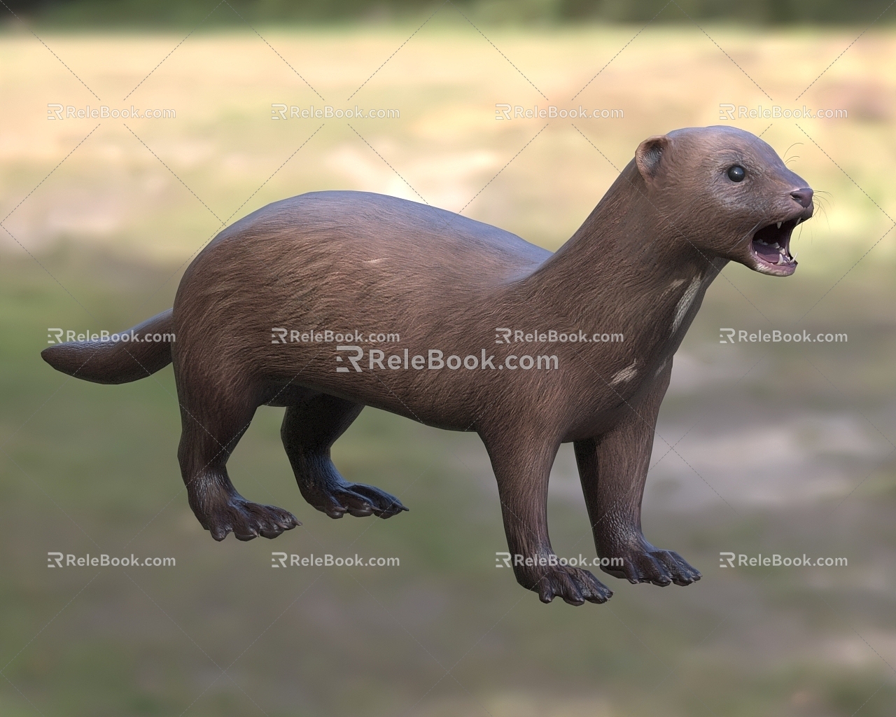 American mink American mink American mink carnivores Mammals of the family Mustelidae 3d model