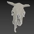 Detailed Isolated White Cow Skull with Horns on Dark Background
