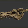 Game Movie Character Mythical Dragon Skull Detailed 3D Model With Horns And Sharp Fangs
