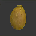 Orange Yellow Prickly Pear Fruit With Small Spines On Dark Background Surface