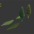 Green Plant Leaves With Elongated Shape And Grid Pattern On Dark Reflective Surface 3d model