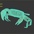 Orange and brown crab with large claws standing on dark background with reflection 3d model