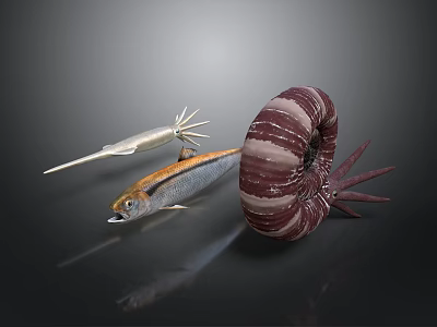 Vibrant Marine Aquatic Animals Featuring Swordfish Mackerel And Spiral Nautilus 3d model