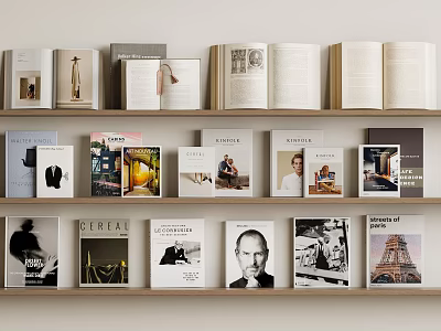 Various Books And Magazines Collection On Shelves With Different Themes And Covers 3d model