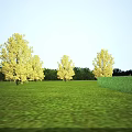 People Playing Badminton On Outdoor Colorful Sports Court For Fitness Sunny Day With Trees