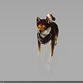 Shiba Inu 3D Model with Brown and White Fur Standing on Dark Background with Reflection