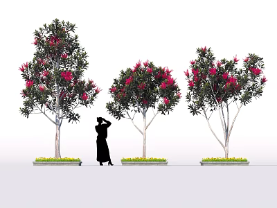 Trees With Vibrant Red Flowers And Green Grass In Garden With Person Silhouette 3d model