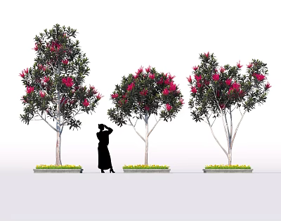 Trees With Vibrant Red Flowers And Green Grass In Garden With Person Silhouette 3d model