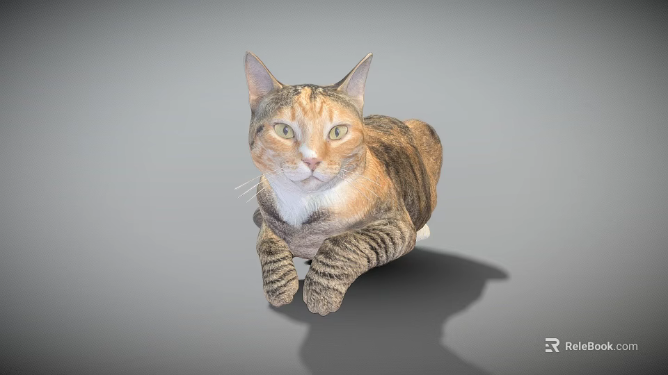 Striped Brown and Black Cat Lying on Gray Background with Bright Eyes 3d model 