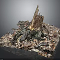 Natural Plant Scene Featuring Decayed Tree Stump With Fallen Leaves And Mossy Debris