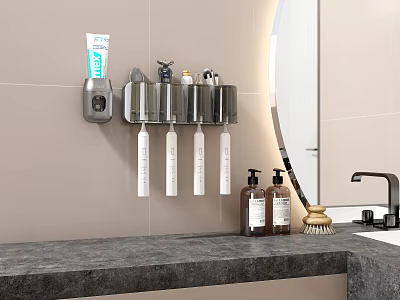 Wall Mounted Bathroom Cabinet Rack With Toothbrush Holder Near Sink Counter And Mirror 3d model