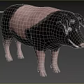Black And White Pig Standing On Green Grass In Natural Outdoor Setting