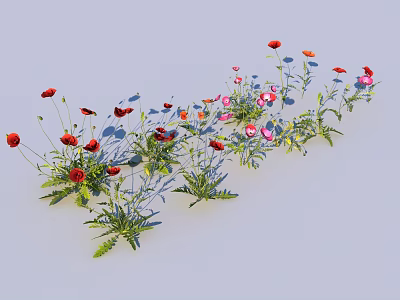 Vibrant Red and Pink Flowers with Green Stems and Lush Leaves in Natural Setting 3d model