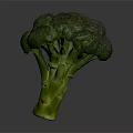 Fresh Vibrant Green Broccoli Vegetable Isolated On Dark Background For Healthy Meals