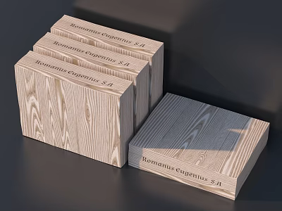 Modern packaging box red wine wooden box 3d model