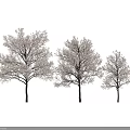 Three Snow Covered White Trees With Dark Shadows On Gray Background 3d model