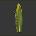 Fresh Corn Cob with Yellow Kernels and Green Leaves for Daily Use