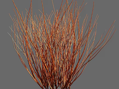 Vibrant Orange Red Shrub With Slender Branches For Modern Garden Decoration 3d model