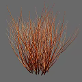 Vibrant Orange Red Shrub With Slender Branches For Modern Garden Decoration 3d model