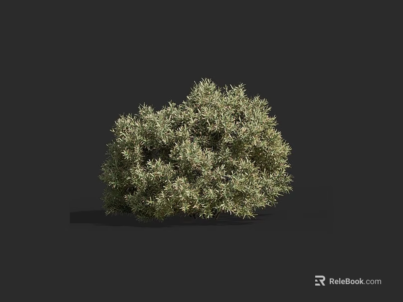 Lush Green Bush With Dense Foliage In 3D Rendered Isolated Gray Background 3d model 