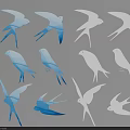 Flying Animals Swallow Silhouettes Featuring Blue And White Designs In Different Flying Poses