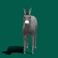 Realistic Gray Donkey Standing Isolated On Green Background With Shadow 3d model