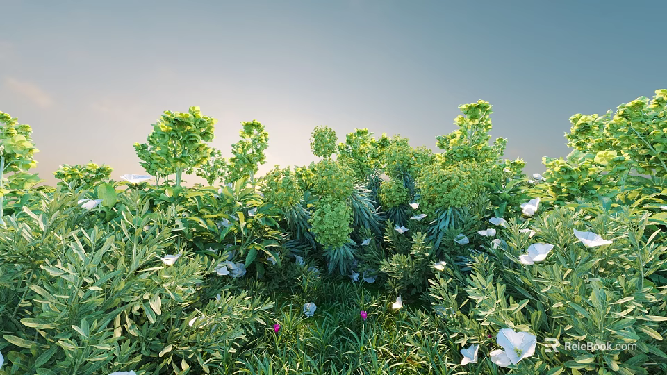 Lush Green Bushes With Various Green Plants White And Purple Flowers Against Sky Background 3d model 