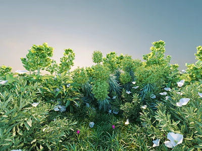 Lush Green Bushes With Various Green Plants White And Purple Flowers Against Sky Background 3d model
