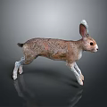 Running Brown And White Hare With Long Ears And Detailed Fur On Dark Background