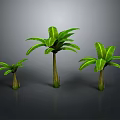 Three Banana Plants With Different Sizes Green Leaves And Brown Trunks