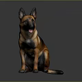 Brown and Black German Shepherd Sitting with Tongue Out on Gray Background
