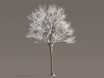 Snow Covered Arbor With White Branches And Brown Trunk In Gray Background 3d model