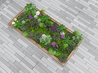 plant wall green plant grass 3d model