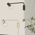 Modern Black and Gold Wall Lamps with Exposed Bulbs Curved Arms Near Green Plant