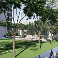 Modern Garden Landscape With Green Lawn Trees Pavilion And Water Feature