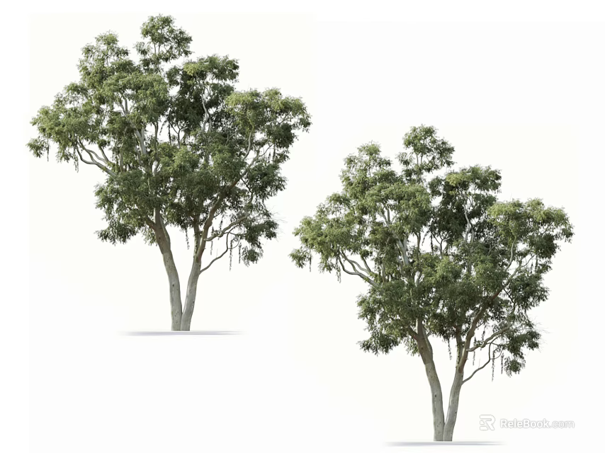 Two Arbor Trees With Green Leaves Lush Canopy And Natural Trunk 3d model 