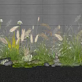 Gray Wall Garden With Various Herbs Tall Reed Like Grasses Green Moss And Stones