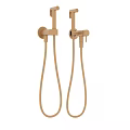 Modern Gold Handheld Shower Head with Flexible Hose and Wall Mount