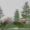Diverse Garden Plants With Various Trees Shrubs Pink White Flowers Herbs And Green Grass