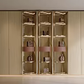 Modern Wooden Wardrobe Featuring Glass Doors Shelves And Bag Storage With Lighting