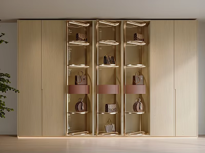Modern Wooden Wardrobe Featuring Glass Doors Shelves And Bag Storage With Lighting 3d model