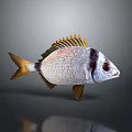 Realistic Silver Fish With Black Stripe Yellow Fins Large Eyes And Reflection On Gray Background