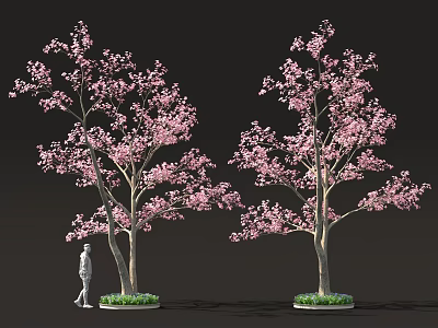Tall Pink Flowering Trees Blooming With Person In Scenic Spring Landscape 3d model