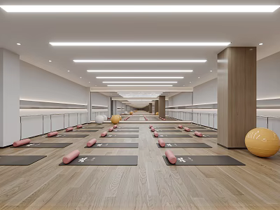 Spacious Yoga Studio With Neatly Arranged Yoga Mats Yellow Balls Wooden Floors And Strip Lights 3d model
